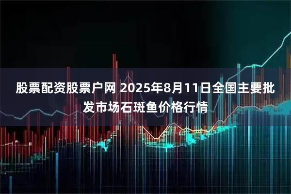 股票配资股票户网 2025年8月11日全国主要批发市场石斑鱼价格行情