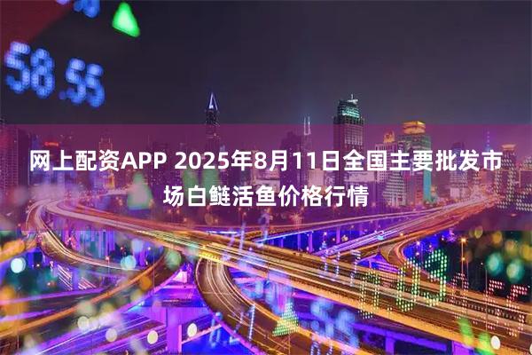 网上配资APP 2025年8月11日全国主要批发市场白鲢活鱼价格行情