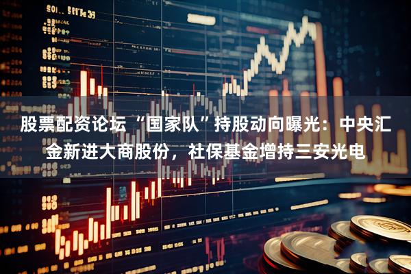 股票配资论坛 “国家队”持股动向曝光：中央汇金新进大商股份，社保基金增持三安光电