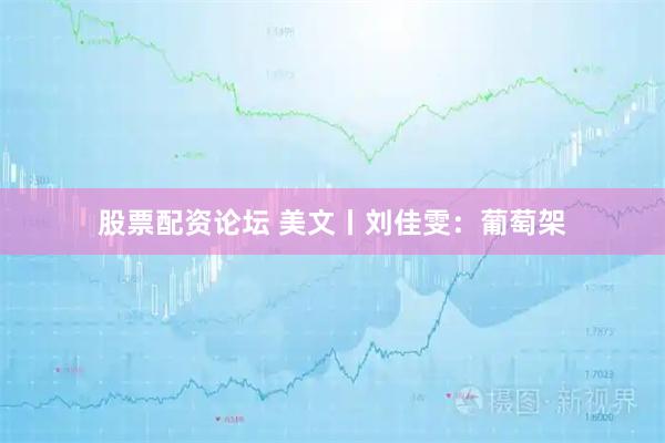 股票配资论坛 美文丨刘佳雯：葡萄架
