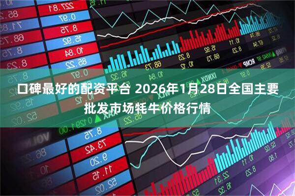 口碑最好的配资平台 2026年1月28日全国主要批发市场牦牛价格行情