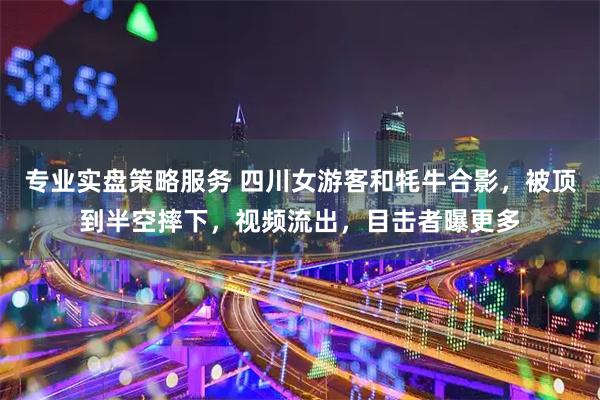 专业实盘策略服务 四川女游客和牦牛合影，被顶到半空摔下，视频流出，目击者曝更多